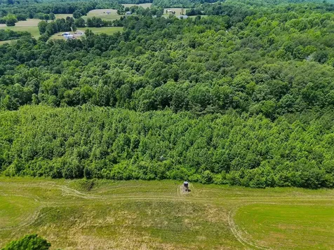 2335 Dog Walk Road Horse Branch KY 42349