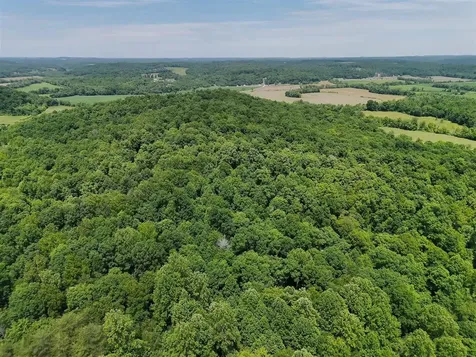 2335 Dog Walk Road Horse Branch KY 42349