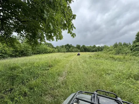 2335 Dog Walk Road Horse Branch KY 42349