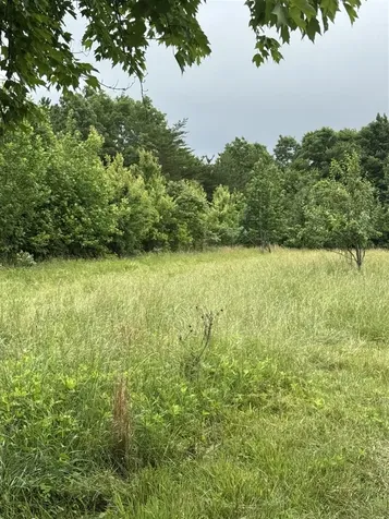 2335 Dog Walk Road Horse Branch KY 42349