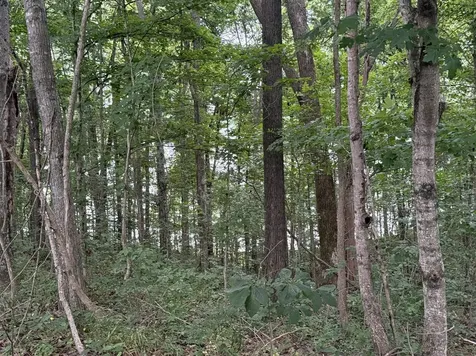 0 Indian Point Road Glasgow KY 42141