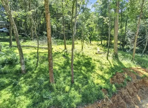 Lot 45a Walleye Way Scottsville KY 42164