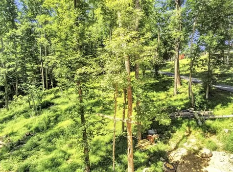 Lot 45a Walleye Way Scottsville KY 42164