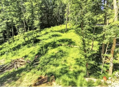Lot 45a Walleye Way Scottsville KY 42164