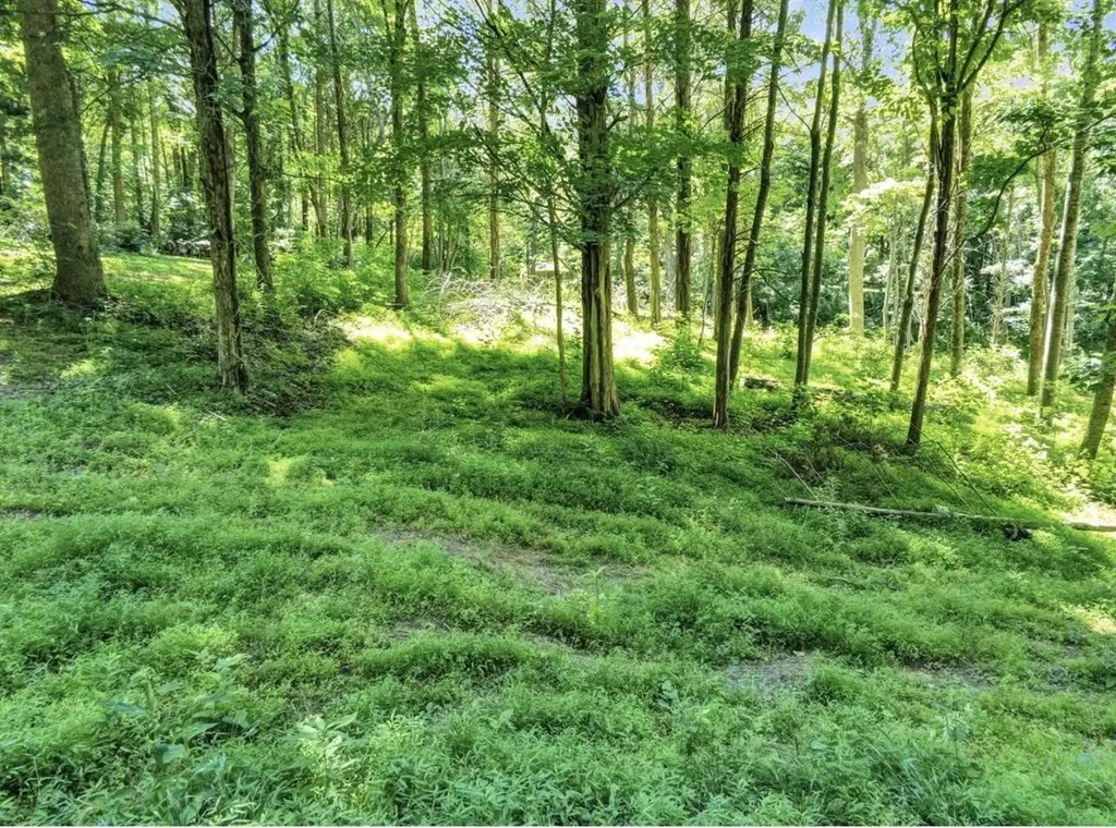 Lot 23a Walleye Way Scottsville KY 42164