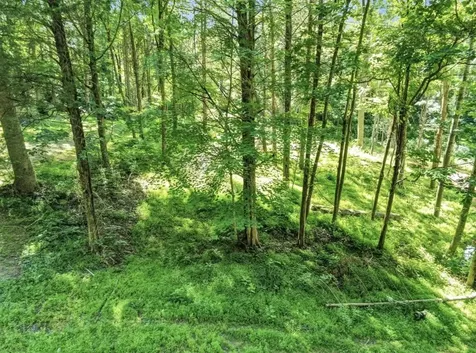 Lot 23a Walleye Way Scottsville KY 42164