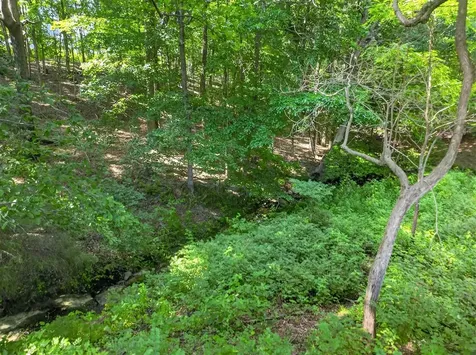 0 Todd Deer Lick Road Lewisburg KY 42256