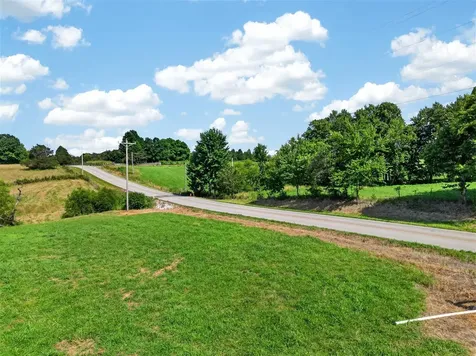 0 Todd Deer Lick Road Lewisburg KY 42256