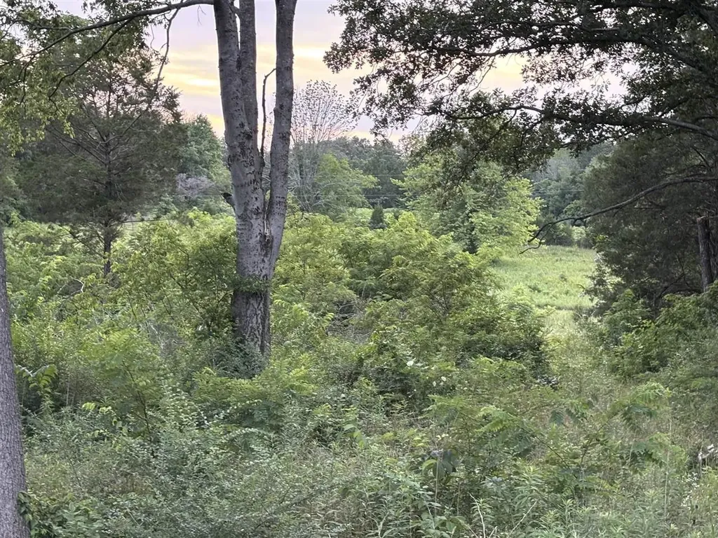 Lot 5 Pig Road Smiths Grove KY 42171
