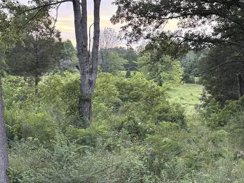 Lot 5 Pig Road Smiths Grove KY 42171