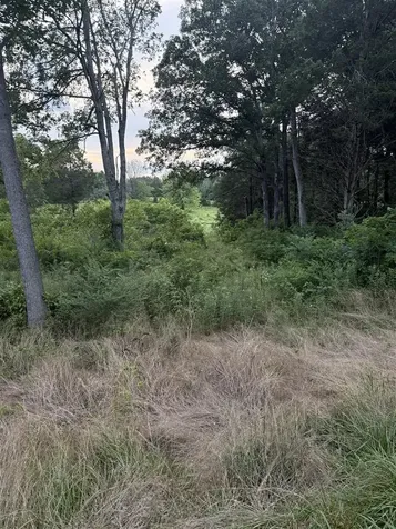 Lot 5 Pig Road Smiths Grove KY 42171
