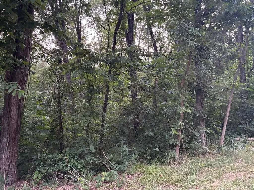 Lot 4 Pig Road Smiths Grove KY 42171