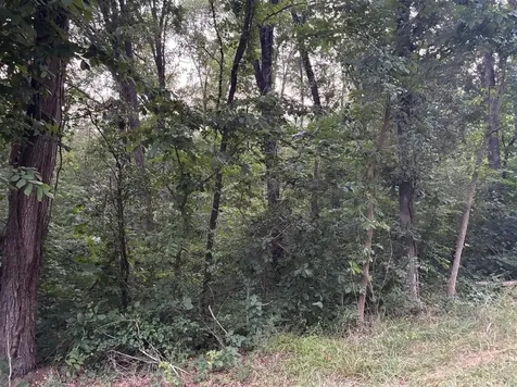 Lot 4 Pig Road Smiths Grove KY 42171