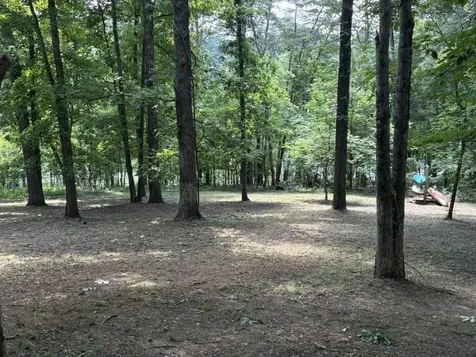 539 Virgil Dennis Road Cub Run KY 42729