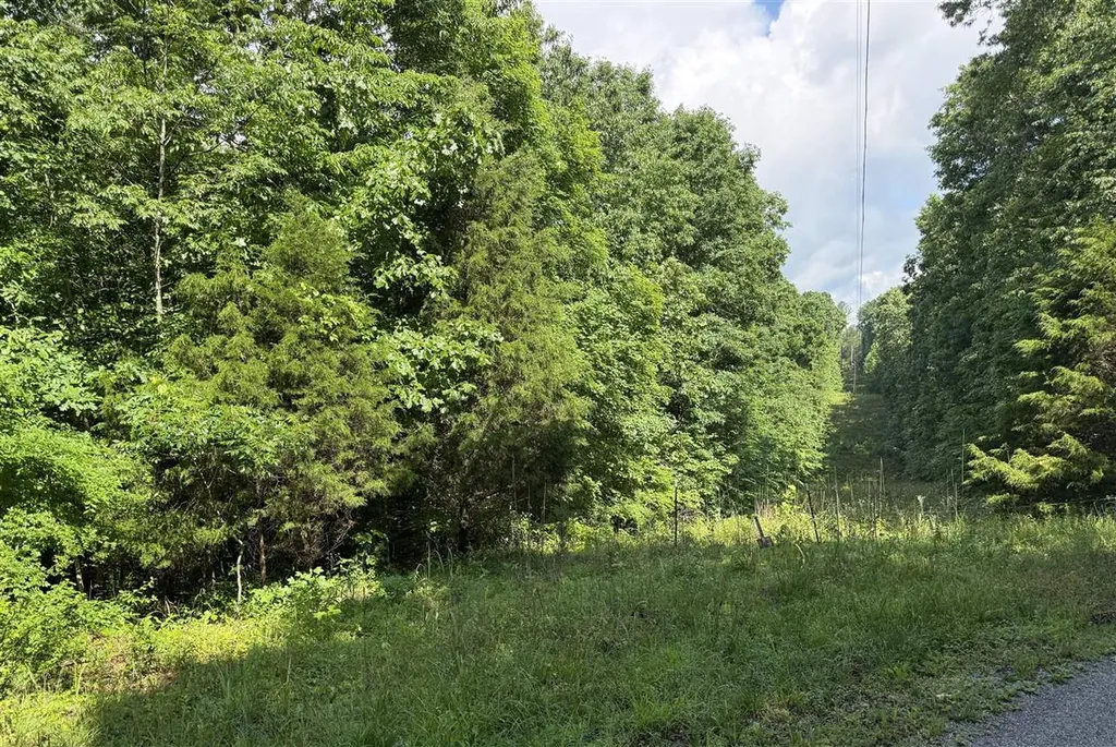 0 Happy Hollow Road Beaver Dam KY 42320