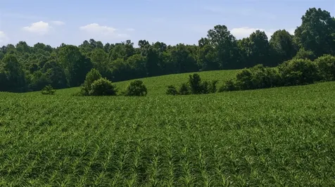 Lot 3 Grassland Road Brownsville KY 42210