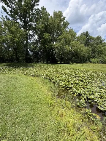 4228 Anna Sandhill Road Bowling Green KY 42101