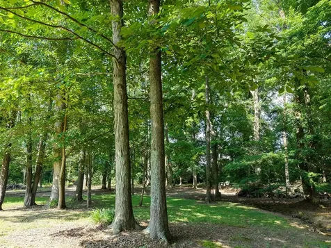 3408 Boiling Springs Road Bowling Green KY 42101