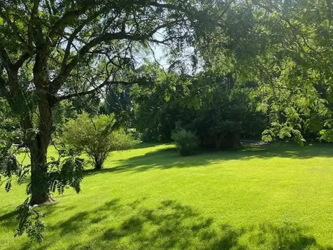 420 Paradise Street Greenville KY 42345