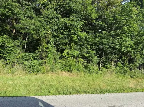 38+/- Acres Boiling Springs Road Bowling Green KY 42101