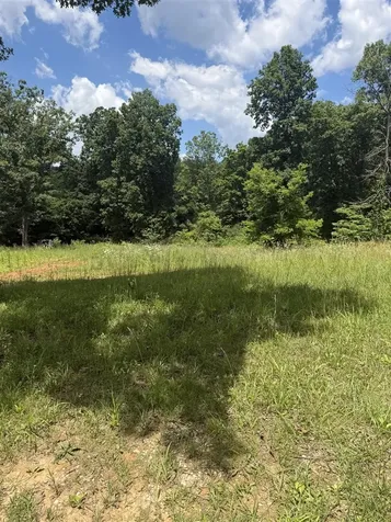 Lot 2 Pig Road Smiths Grove KY 42171