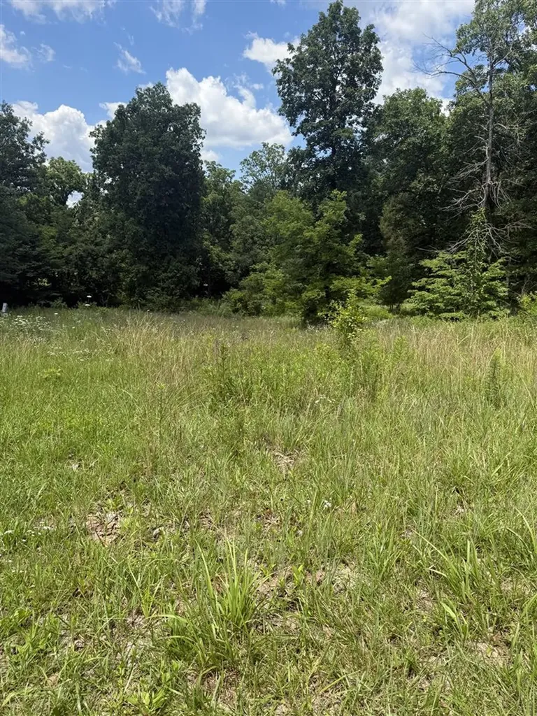 Lot 3 Pig Road Smiths Grove KY 42171