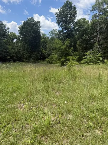 Lot 3 Pig Road Smiths Grove KY 42171