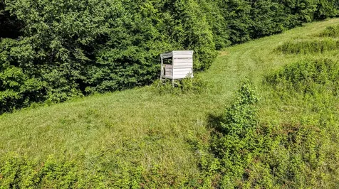 1965 Harry Cherry Road Bowling Green KY 42101