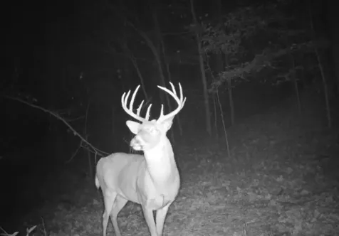 1965 Harry Cherry Road Bowling Green KY 42101