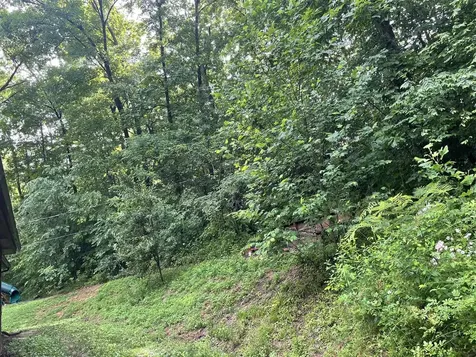 191 Chestnut Lane Morgantown KY 42261