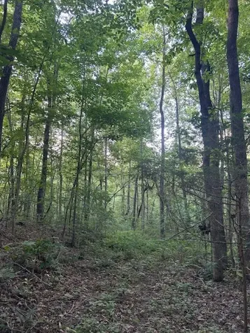 0 Toohey Ridge Road Cave City KY 42127