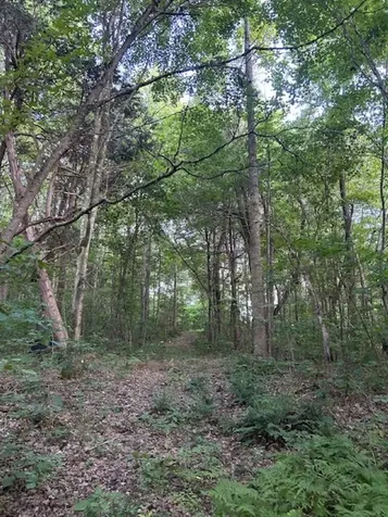0 Toohey Ridge Road Cave City KY 42127