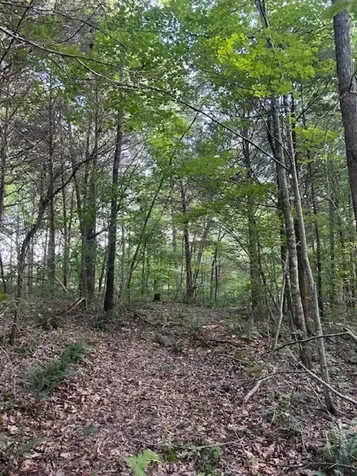 0 Toohey Ridge Road Cave City KY 42127