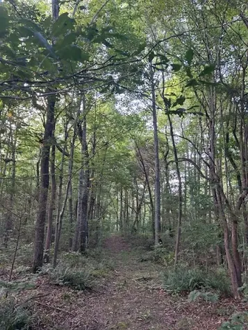 0 Toohey Ridge Road Cave City KY 42127