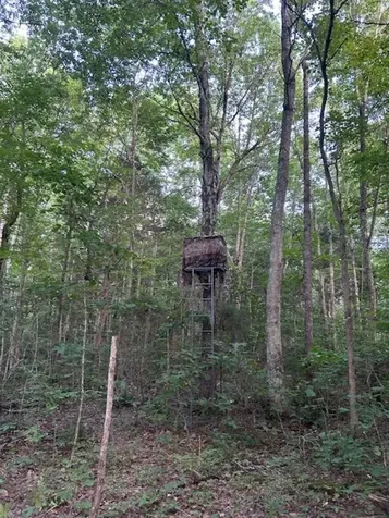 0 Toohey Ridge Road Cave City KY 42127