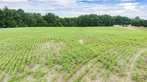 3604 Mount Zion Road Brownsville KY 42210