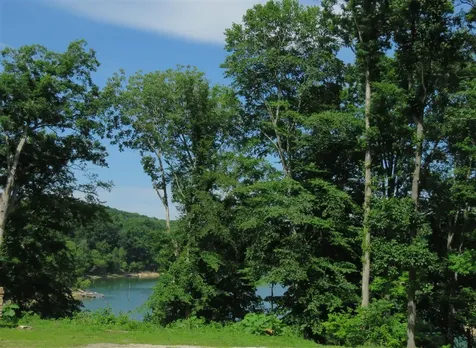 439 Lakeshore Drive Mammoth Cave KY 42259