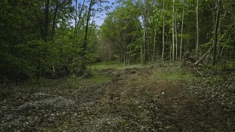 0 Holston Hollow Road Morgantown KY 42261