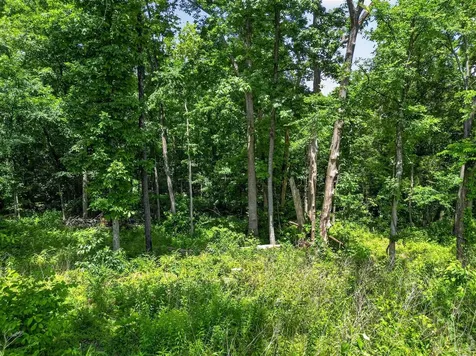 0 Dennis Road Russellville KY 42276
