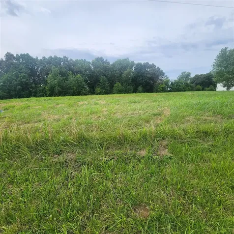 0 Smiths Grove Church Road Adairville KY 42202