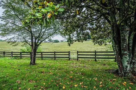 1113 Hays Pondsville Road Smiths Grove KY 42171