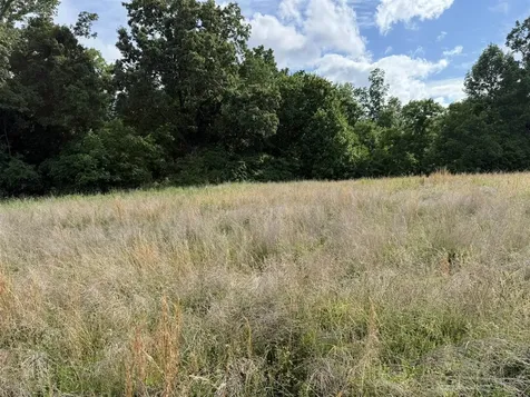 0 Roseburg Road Cub Run KY 42729