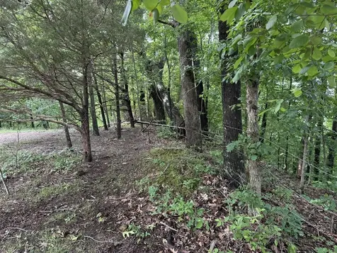 0 Roseburg Road Cub Run KY 42729