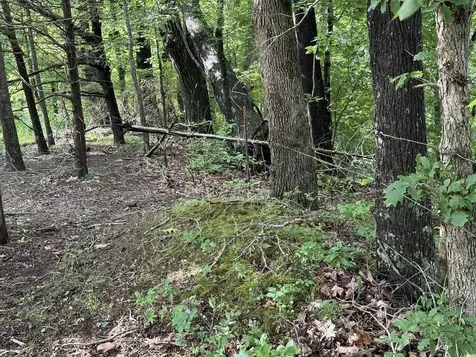 0 Roseburg Road Cub Run KY 42729