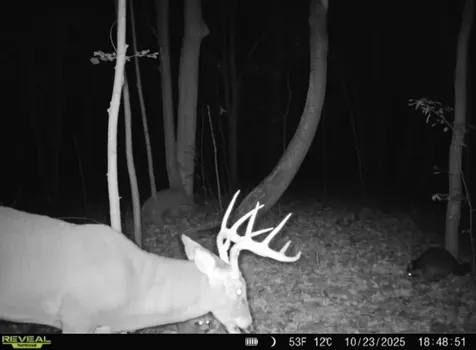 0 Sheffield Drive Centertown KY 42328