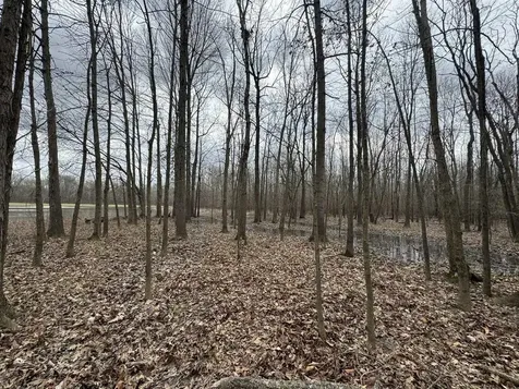 0 Sheffield Drive Centertown KY 42328