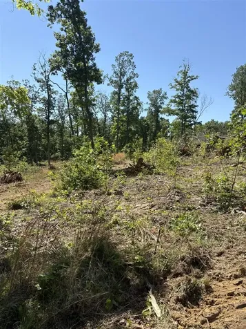 89 Ac Cub Run Road Cub Run KY 42729