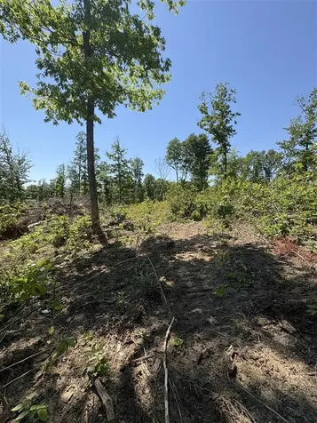 89 Ac Cub Run Road Cub Run KY 42729