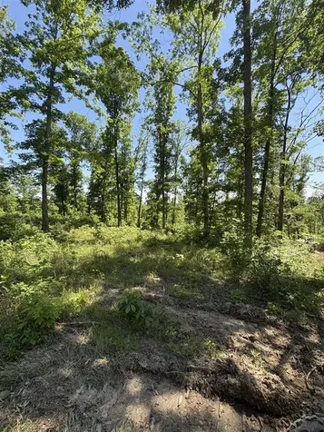 89 Ac Cub Run Road Cub Run KY 42729