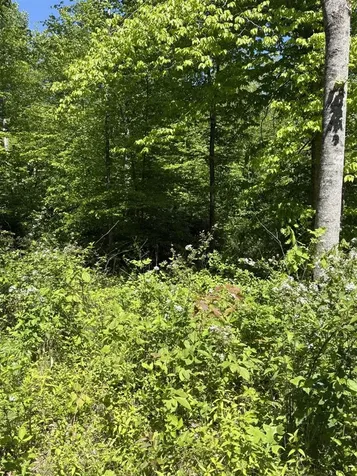 89 Ac Cub Run Road Cub Run KY 42729